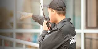 seguridad privada 3.jpeg